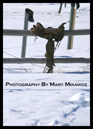 Copyright Protected by Mary Mikawoz