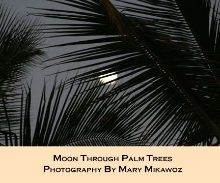 Copyright Protected by Mary MIkawoz