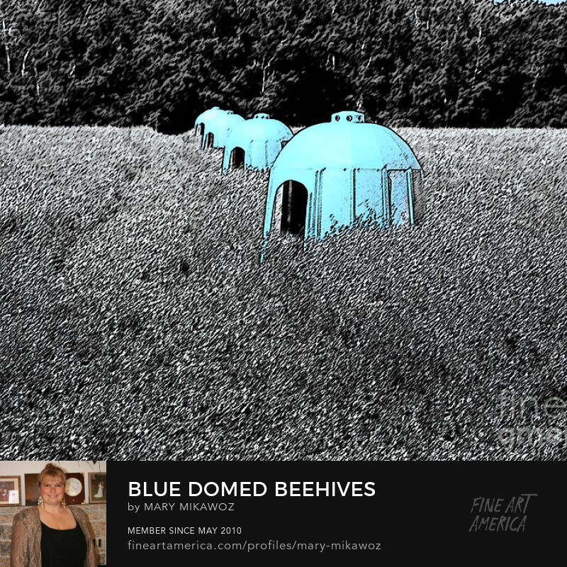 Mikawoz Blue Domed Beehives